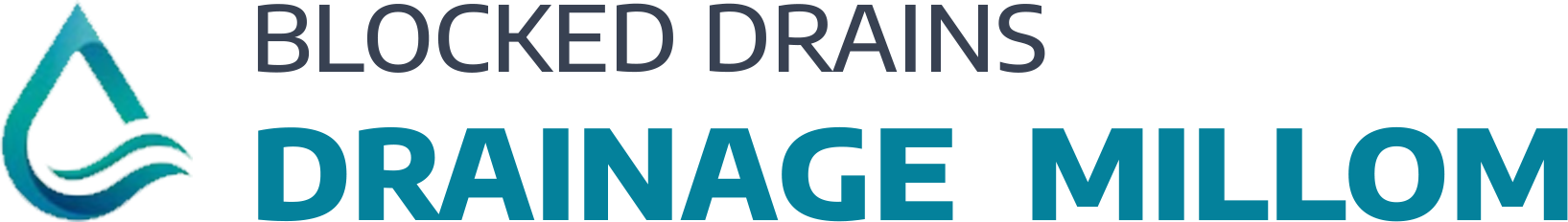 website logo